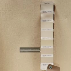 Cream Leather Swivel Chair From Wk Wohnen, Set Of 8 -PAMONO Sales cream leather swivel chair from wk wohnen set of 8 5