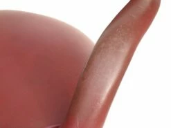 Office Chairs By Gastone Rinaldi For Rima, 1950s, Set Of 2 -PAMONO Sales office chairs by gastone rinaldi for rima 1950s set of 2 4