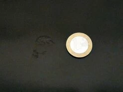 Space Age Italian Platone Folding Desk In Ebony By Giancarlo Piretti For Castelli, 1960s -PAMONO Sales space age italian platone folding desk in ebony by giancarlo piretti for castelli 1960s 10